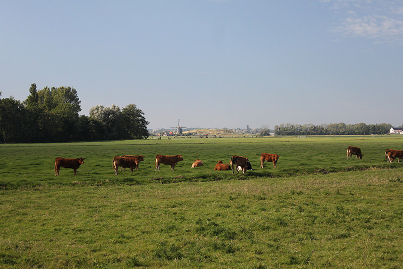 Spaarnwouderoute